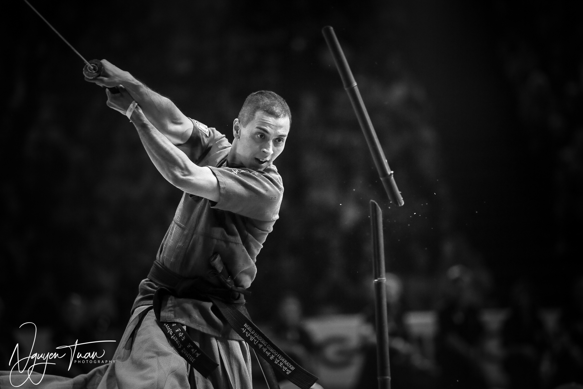 20190324 Festival des Arts Martiaux 3527 2